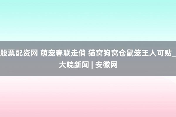 股票配资网 萌宠春联走俏 猫窝狗窝仓鼠笼王人可贴_大皖新闻 | 安徽网